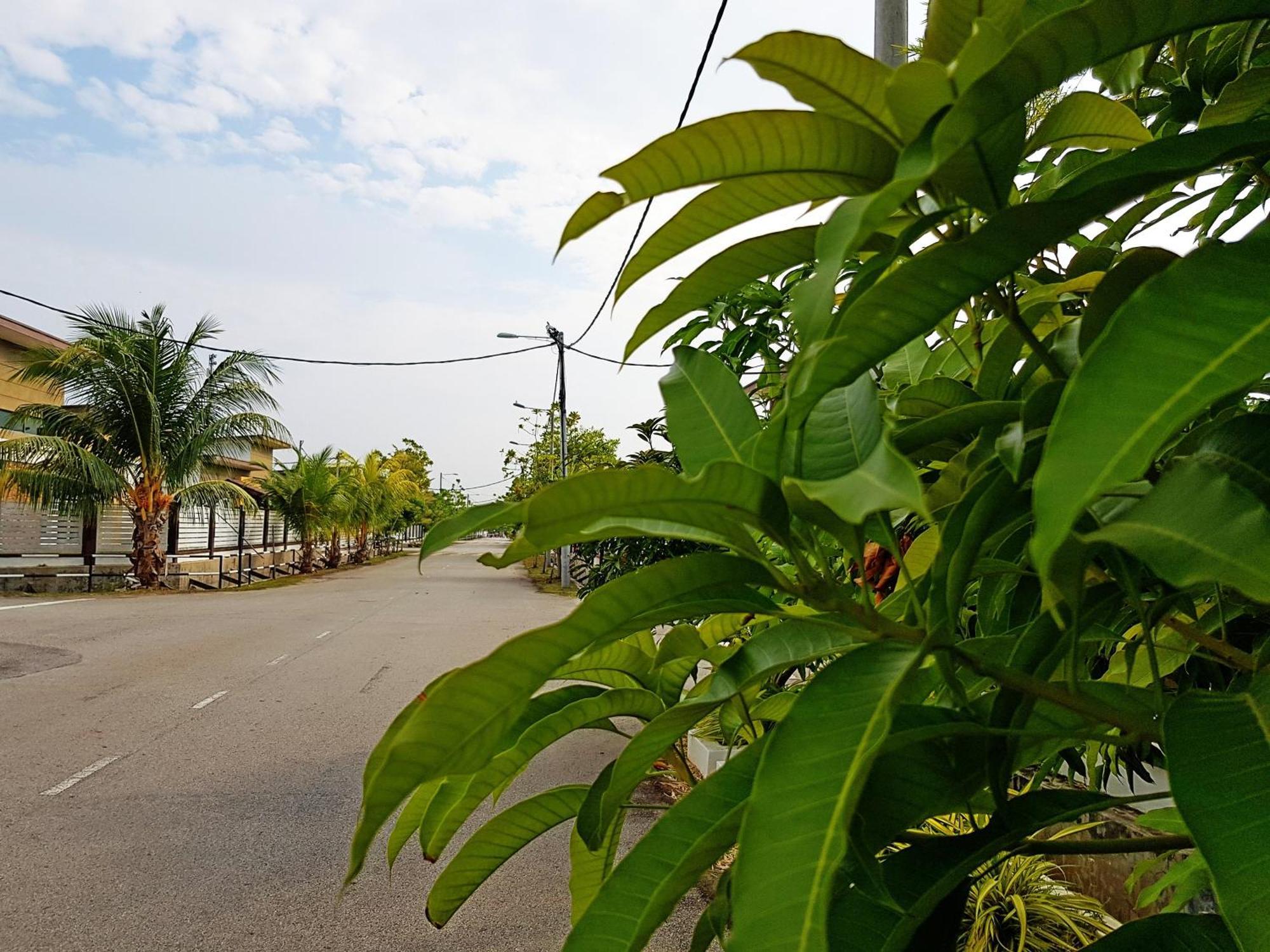Malacca Siantan In Paya Rumput Near Std Hang Jebat, Sg Udang & Uitm Lendu מראה חיצוני תמונה